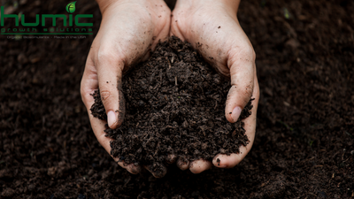 Learn About Humic Growth Solutions