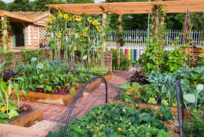 Earth Smart's gardening resource blog