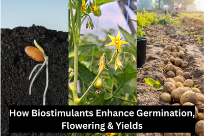 Boost Your Garden’s Growth: How Biostimulants Enhance Germination, Flowering, and Yields
