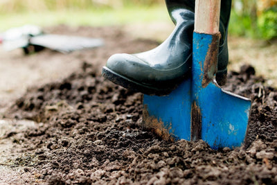 The Many Benefits of Gardening to Prune Your Stress & Improve Your Health