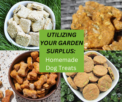 Utilizing Your Garden Surplus: Homemade Dog Treats