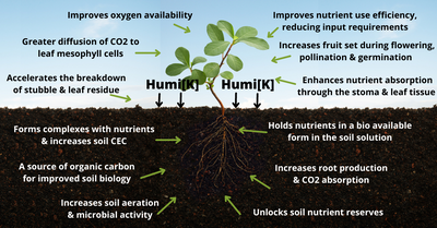 Humic - A Plant's Best Friend