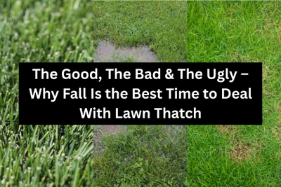 The Good, The Bad & The Ugly – Why Fall Is the Best Time to Deal With It