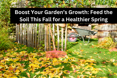 Boost Your Garden’s Growth: Feed the Soil This Fall for a Healthier Spring