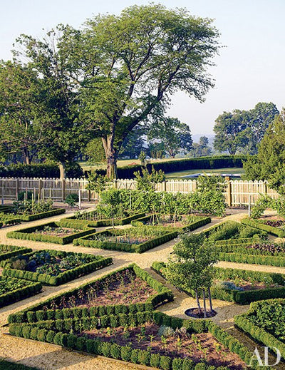 Celebrity Gardens