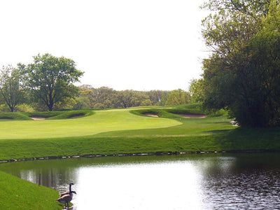 10 ways golf courses are becoming more environmentally friendly