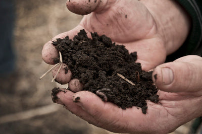Earth Smart's Guide For Micronutrients
