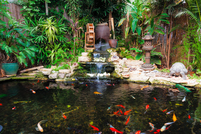 Inspiring Pond Design Ideas: Enhance the Beauty of Your Landscape Oasis