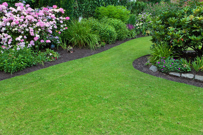 5 Helpful Spring Lawn And Garden Tips