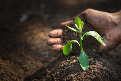 What is Healthy Soil?