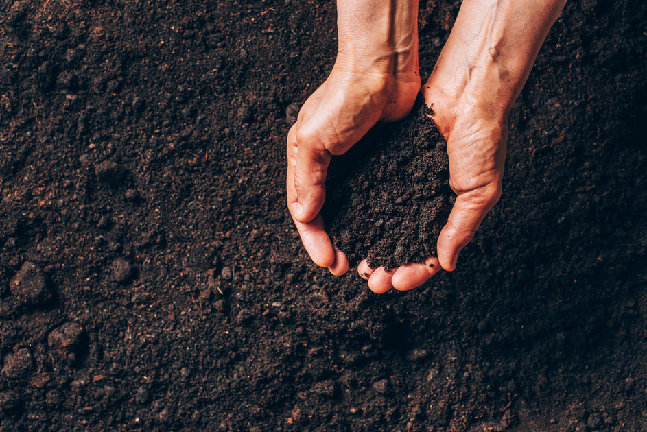 Soil Humus – Earth Smart Solutions - Environmental Solutions Provider