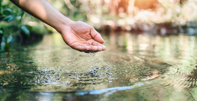 Tips to Maintain Water Quality in Your Landscape Pond