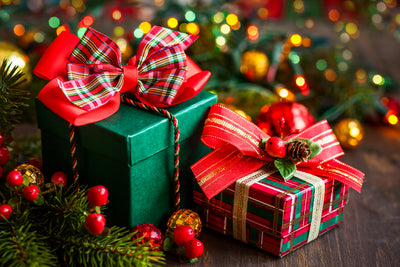 Earth Smart's Holiday Shopping Guide!