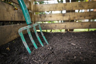 Green to Gold: Surprising Items You Can Compost to Enrich Your Garden and Reduce Waste