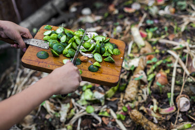 Composting: Frequently Asked Questions