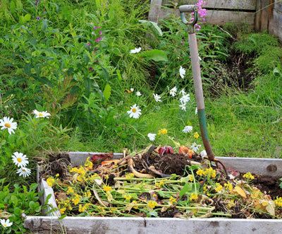 Fall Composting Tips