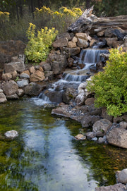 Pond Prevention