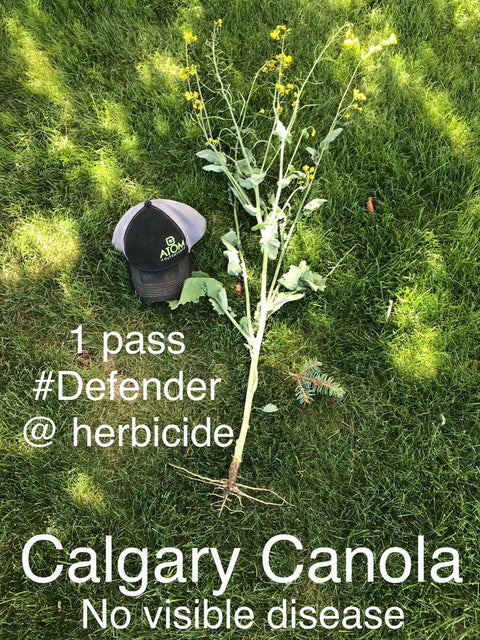 Defender - Plant Protector & Soil Conditioner