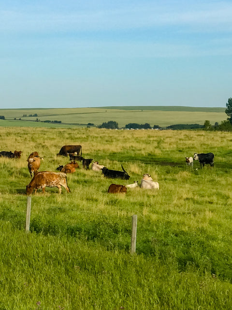 Surge - Pasture Fertilizer