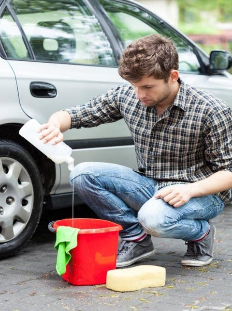 Natural Vehicle Cleanser