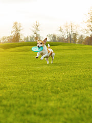 Lawn Fertilizer